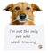 Kaz_Creations Dog Pup Dogs 🐶 - безплатен png анимиран GIF