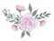 kikkapink deco rose roses flowers vintage - PNG gratuit GIF animé