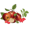 apfel apple milla1959 - Free PNG Animated GIF