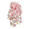 flower-orchide-pink-png - PNG gratuit GIF animé