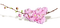 Cherry Blossom Branch - zadarmo png animovaný GIF