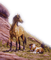 Horses - png gratuito GIF animata