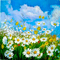 Y.A.M._Summer background flowers - 免费PNG 动画 GIF