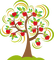 Apple tree  Bb2