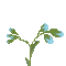 Fleurs.Blue flowers.Spring.gif.Victoriabea - GIF animé gratuit GIF animé