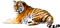 Kaz_Creations Tiger - 免费PNG 动画 GIF