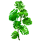 Animated.Plant.Leaves.Green - By KittyKatLuv65 - GIF animé gratuit GIF animé