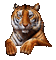 tigre - Animovaný GIF zadarmo animovaný GIF