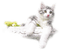 Kaz_Creations Cats Cat Kittens Kitten - безплатен png анимиран GIF