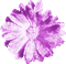 Flower.Purple.Animated - KittyKatLuv65 - Δωρεάν κινούμενο GIF κινούμενο GIF