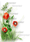 soave deco flowers poppy corner branch text - PNG gratuit GIF animé
