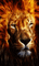 Leão - Nemokamas animacinis gif animuotas GIF