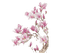 magnolia - безплатен png анимиран GIF