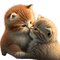 chatons - Free PNG Animated GIF