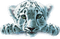 Tigre blanc ! - zdarma png animovaný GIF