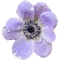 Purple Flower - PNG gratuit GIF animé