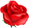 All My Roses - bezmaksas png animēts GIF