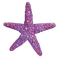 Kaz_Creations Purple Violet Scrap Deco - bezmaksas png animēts GIF
