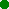 Point vert glitte Ouistiti-Titi - Gratis geanimeerde GIF geanimeerde GIF