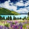 Background  fiori - PNG gratuit GIF animé