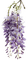 Lilacs.Flowers.Lilas.Fleurs.Victoriabea - PNG gratuit GIF animé