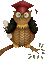 Graduation Owl - Darmowy animowany GIF animowany gif