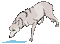 wolf bp - Bezmaksas animēts GIF animēts GIF