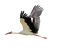 crane birds bp - безплатен png анимиран GIF