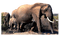 Kaz_Creations Elephants Elephant - bezmaksas png animēts GIF