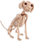 Dog Skeleton - GIF animasi gratis