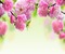 Frühling spring printemps - безплатен png анимиран GIF