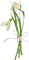 white flowers sunshine3 - GIF animé gratuit