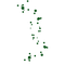 kikkapink deco scrap overlay green - PNG gratuit GIF animé