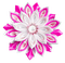 Pearl.Fabric.Flower.White.Pink - png grátis Gif Animado