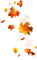 Leaves.Orange.Red.Yellow - bezmaksas png animēts GIF