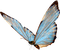 Kaz_Creations Deco Butterflies Butterfly   Colours - zdarma png animovaný GIF