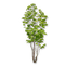 träd--- tree - gratis png geanimeerde GIF