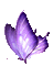 Y.A.M._Fantasy butterfly purple - GIF เคลื่อนไหวฟรี GIF แบบเคลื่อนไหว