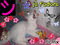 Nuage mon chat je t'adore - Kostenlose animierte GIFs Animiertes GIF