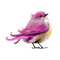 Kaz_Creations Birds Bird Colours Pink