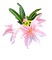 Lily - PNG gratuit GIF animé