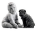 child with dog bp - zadarmo png animovaný GIF