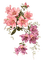 Цветы - png gratuito GIF animata