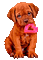valentine dog by nataliplus - Free animated GIF Animated GIF