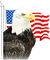 soave deco  patriotic usa 4th july eagle flag - png gratuito GIF animata