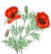 poppies - zdarma png animovaný GIF