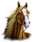 patricia87 cheval - Free PNG Animated GIF