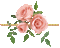 bordura Melly ruža - Zdarma animovaný GIF animovaný GIF