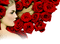 Kaz_Creations Deco Flowers Flower Colours Woman Femme - gratis png geanimeerde GIF