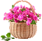 Pink roses - GIF animé gratuit GIF animé